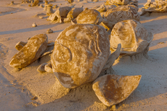 Bisti De Na Zin Wilderness, NM - 05