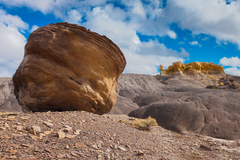 Bisti De Na Zin Wilderness, NM - 11