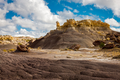 Bisti De Na Zin Wilderness, NM - 12