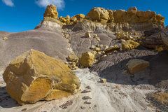 Bisti De Na Zin Wilderness, NM - 13