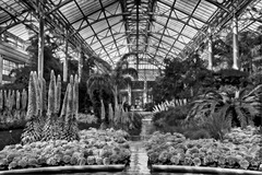 Longwood Gardens, Kennett Square, PA - 01