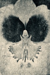 Longwood Gardens, Kennett Square, PA - 03