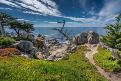 17 Mile Drive, Monterey County - 06
