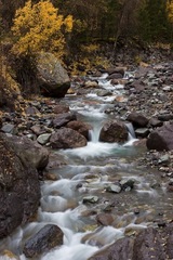 Yankee Boy Basin - 01