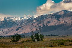 Eastern Sierra, CA - 10