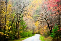 Great Smoky Mountains, TN and NC - 05