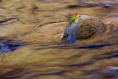 Great Smoky Mountains, TN and NC - 08