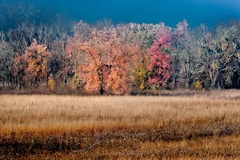 Great Smoky Mountains, TN and NC - 09