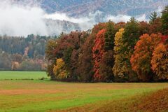 Great Smoky Mountains, TN and NC - 10