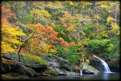 Great Smoky Mountains, TN and NC - 14