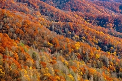 Great Smoky Mountains, TN and NC - 15
