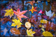 Great Smoky Mountains, TN and NC - 35