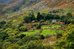 Ireland - 24