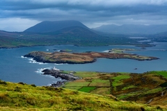 Ireland - 42