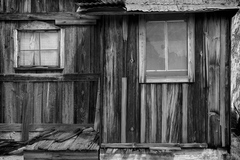 Joshua Tree, CA - 06