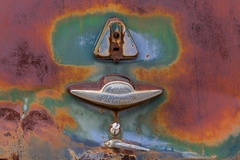 Joshua Tree, CA - 07