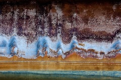 My Small World Macrophotography - 04