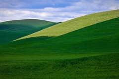 Palouse, WA - 12