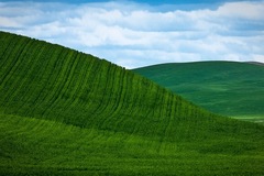 Palouse, WA - 13