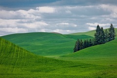 Palouse, WA - 14
