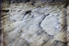 Potpourri Of Images - 06