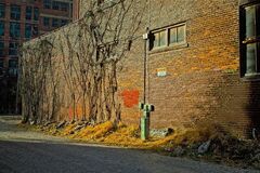 Potpourri Of Images - 08